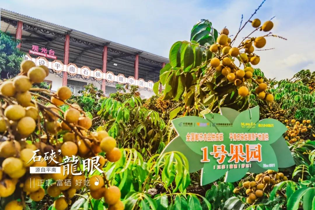 圖片2.jpg